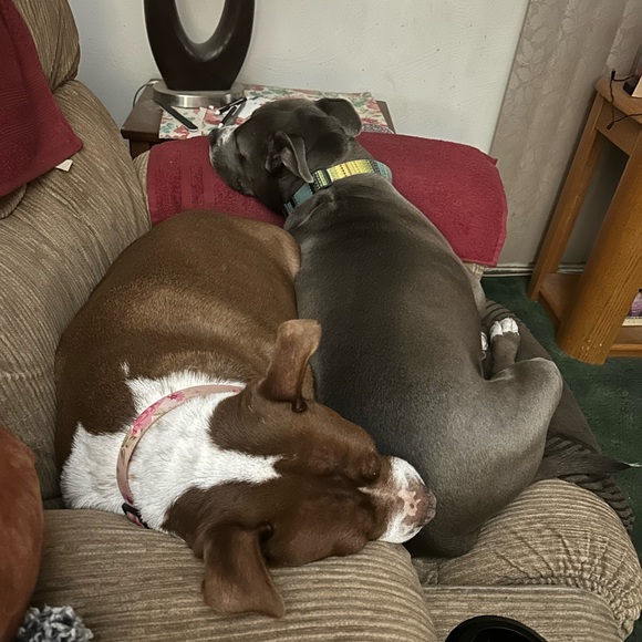 Meet your Posher, Jennifer - Picture 16 of 16